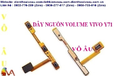 DÂY NGUỒN VOLUME VIVO Y71