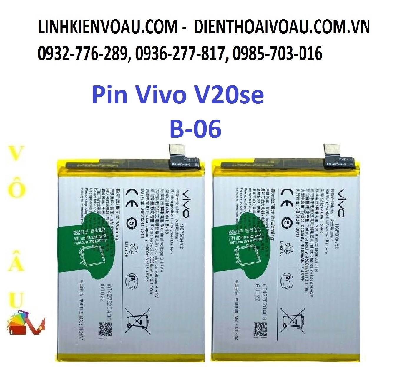 PIN VIVO B-06 (V20 SE )