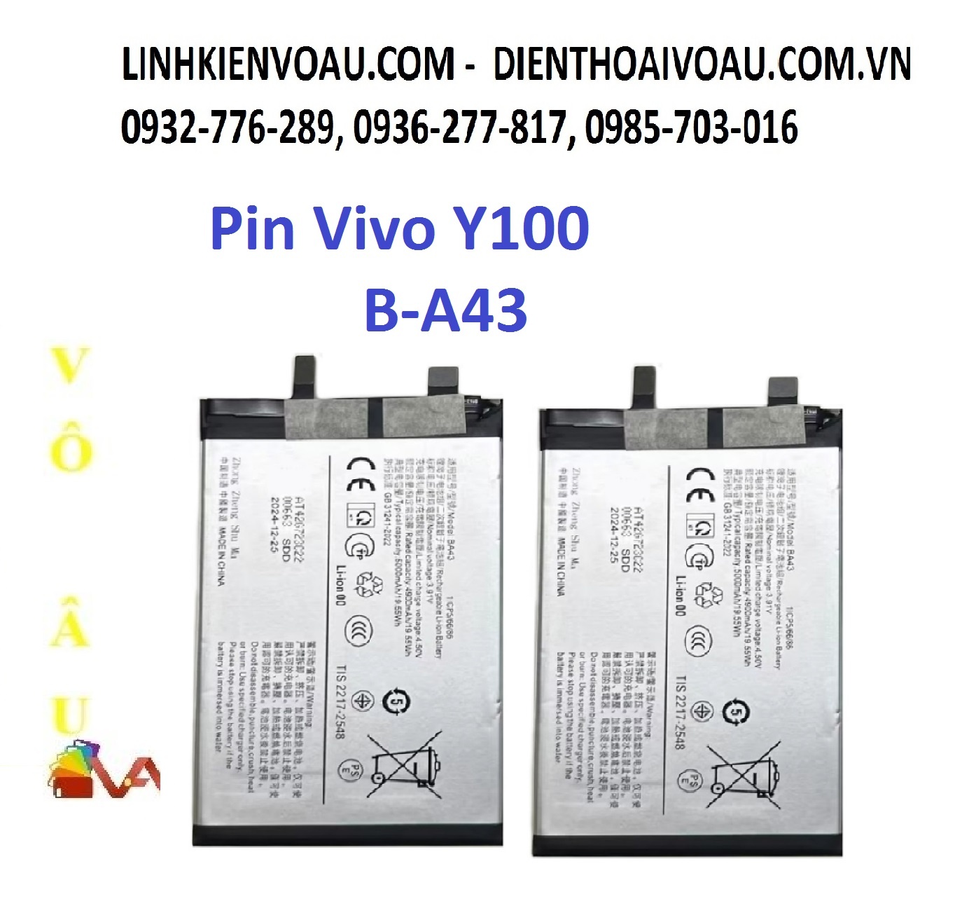 PIN VIVO Y100 ZIN