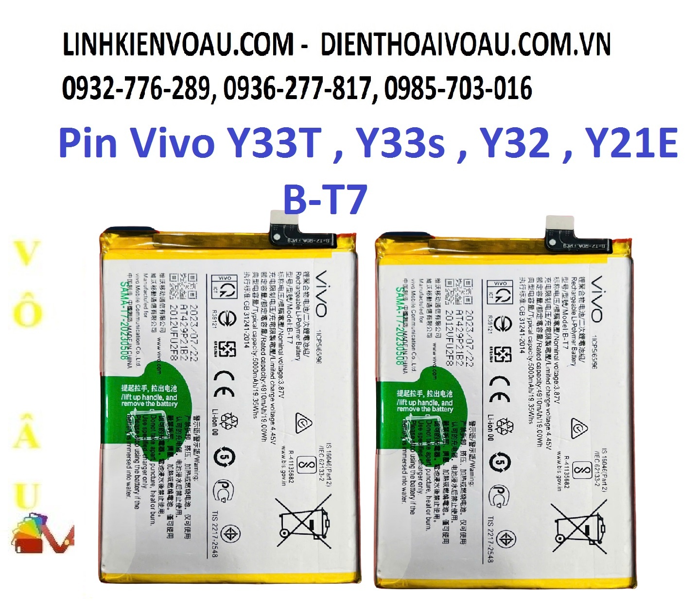 PIN VIVO Y33T ZIN
