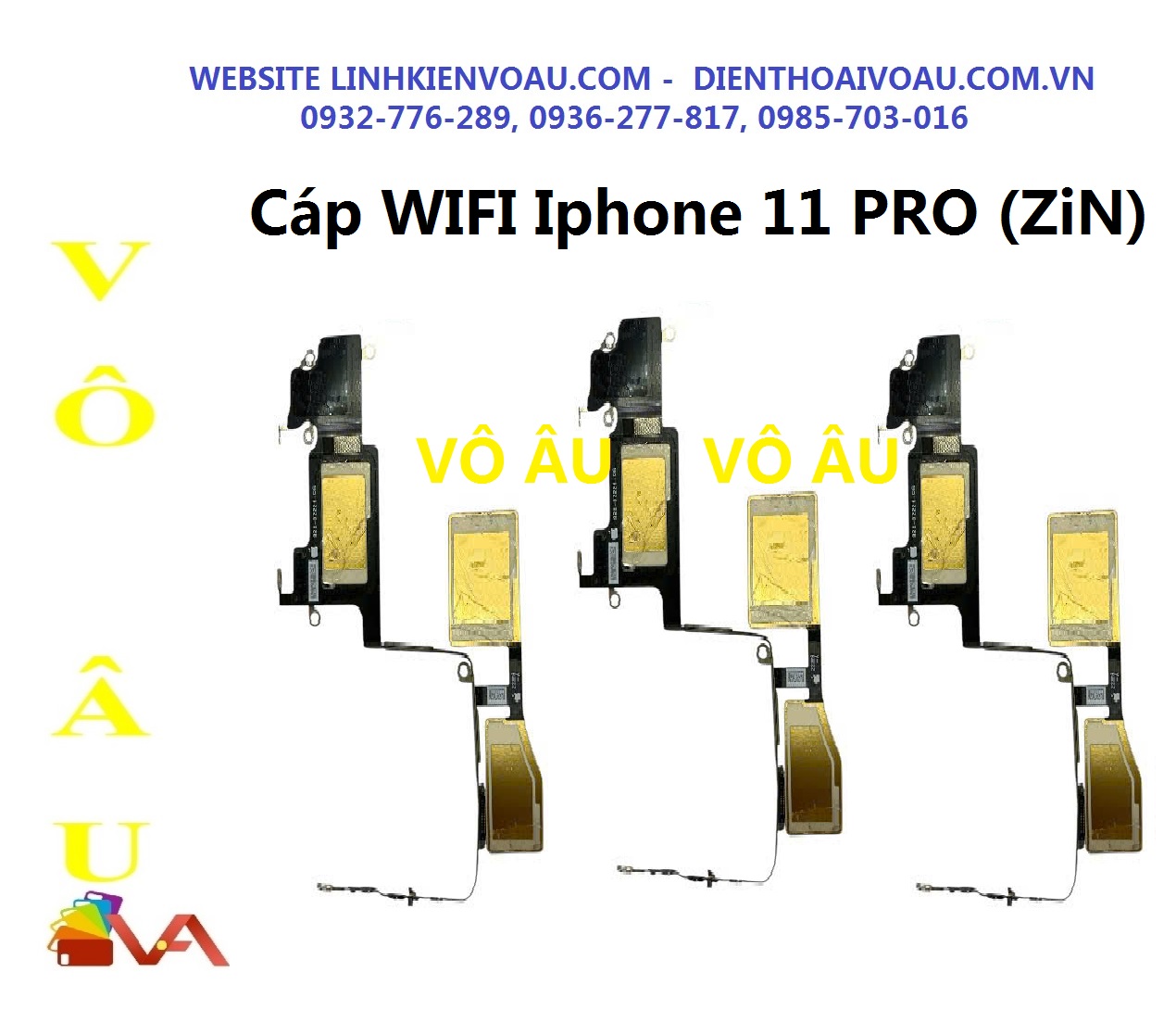 20251224_W6goZJZv.jpg
