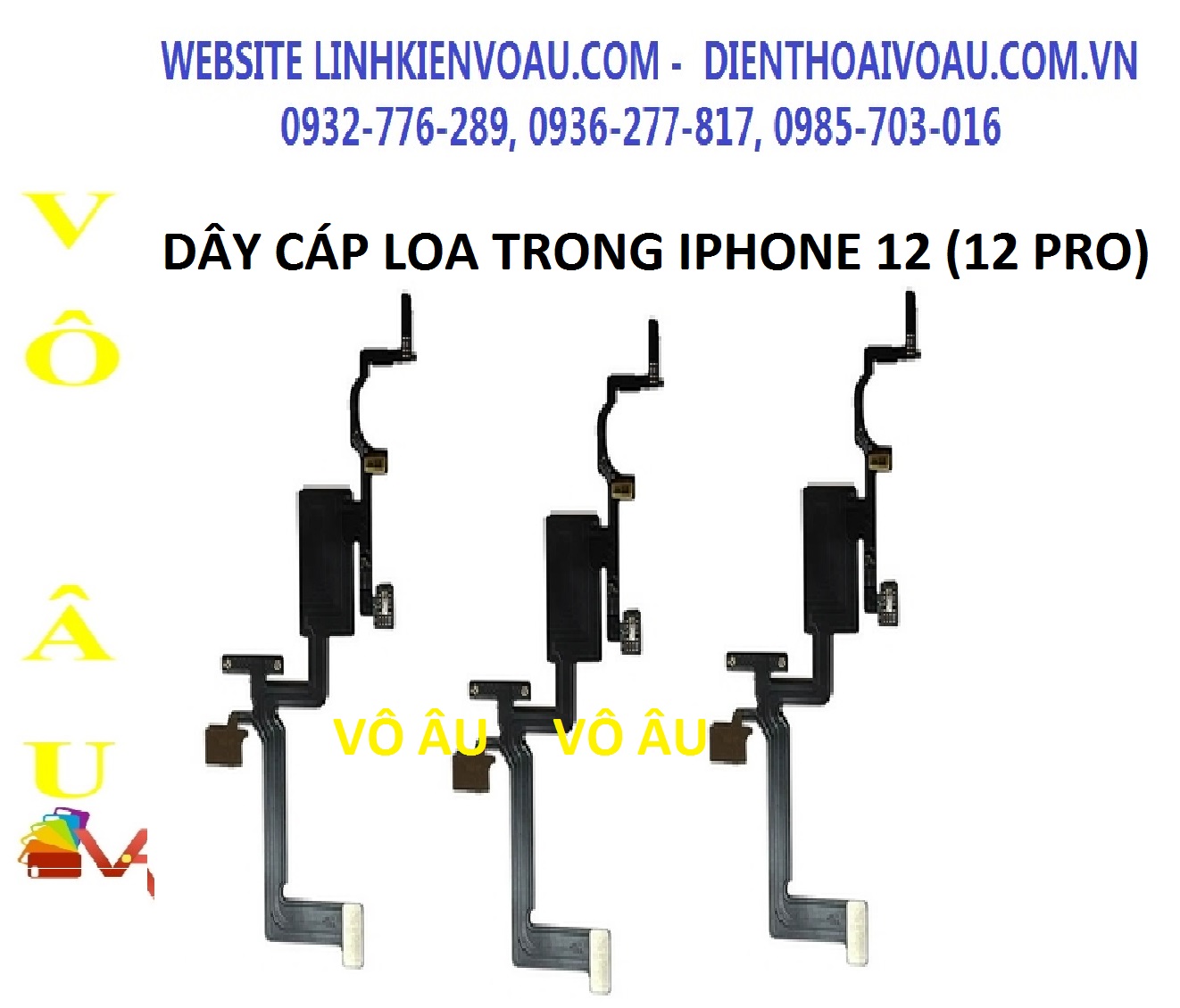 20251225_pLpPNKY8.jpg