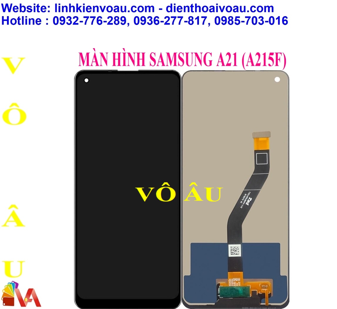 20251230_rf3Vc8pI.jpg