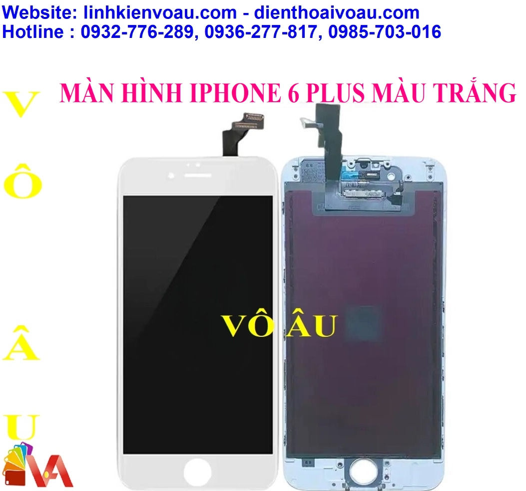 20260113_GAIFDusl.jpg