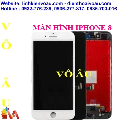 20260114_efGkNu1R.jpg