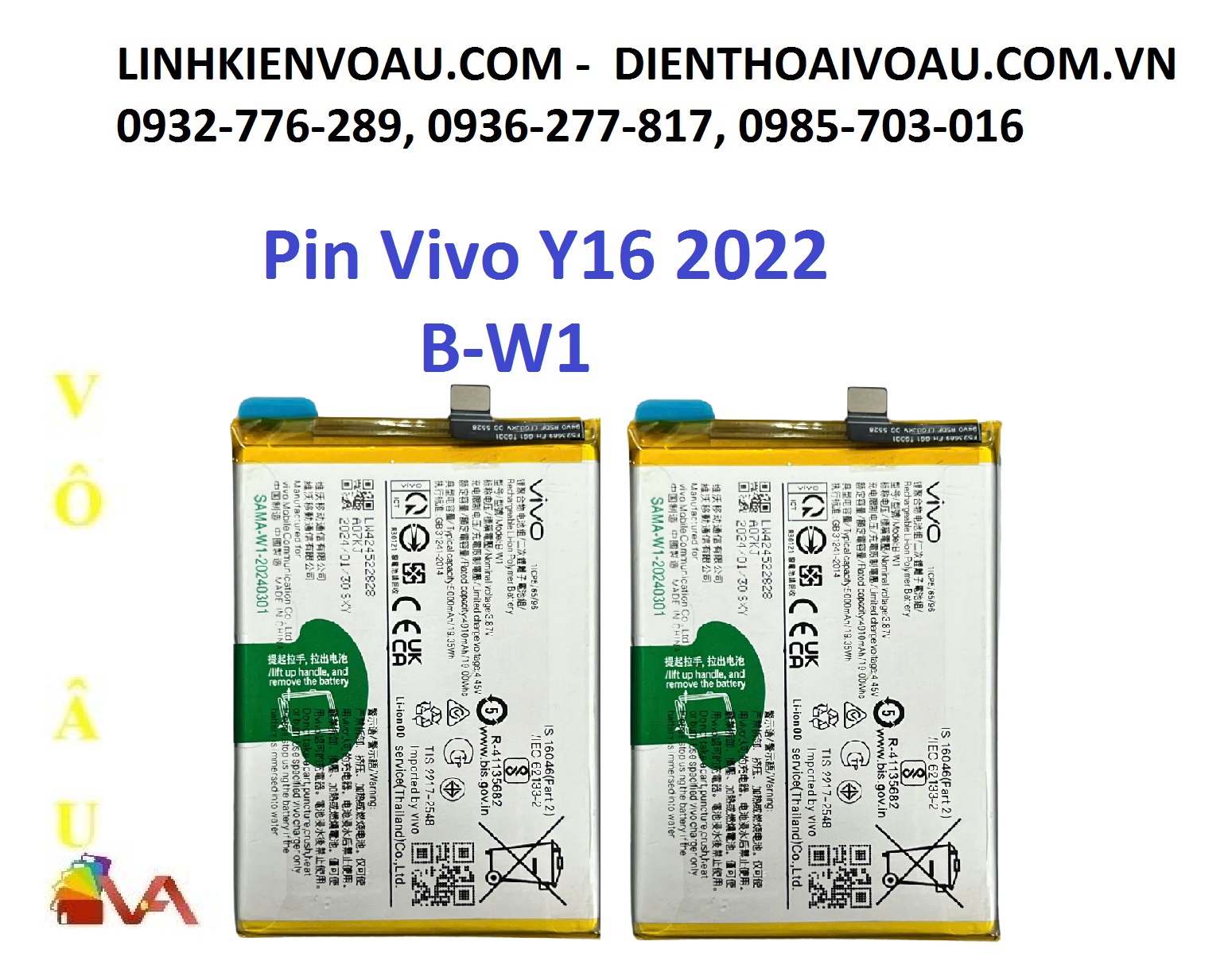 20260117_IUXukK2L.jpg
