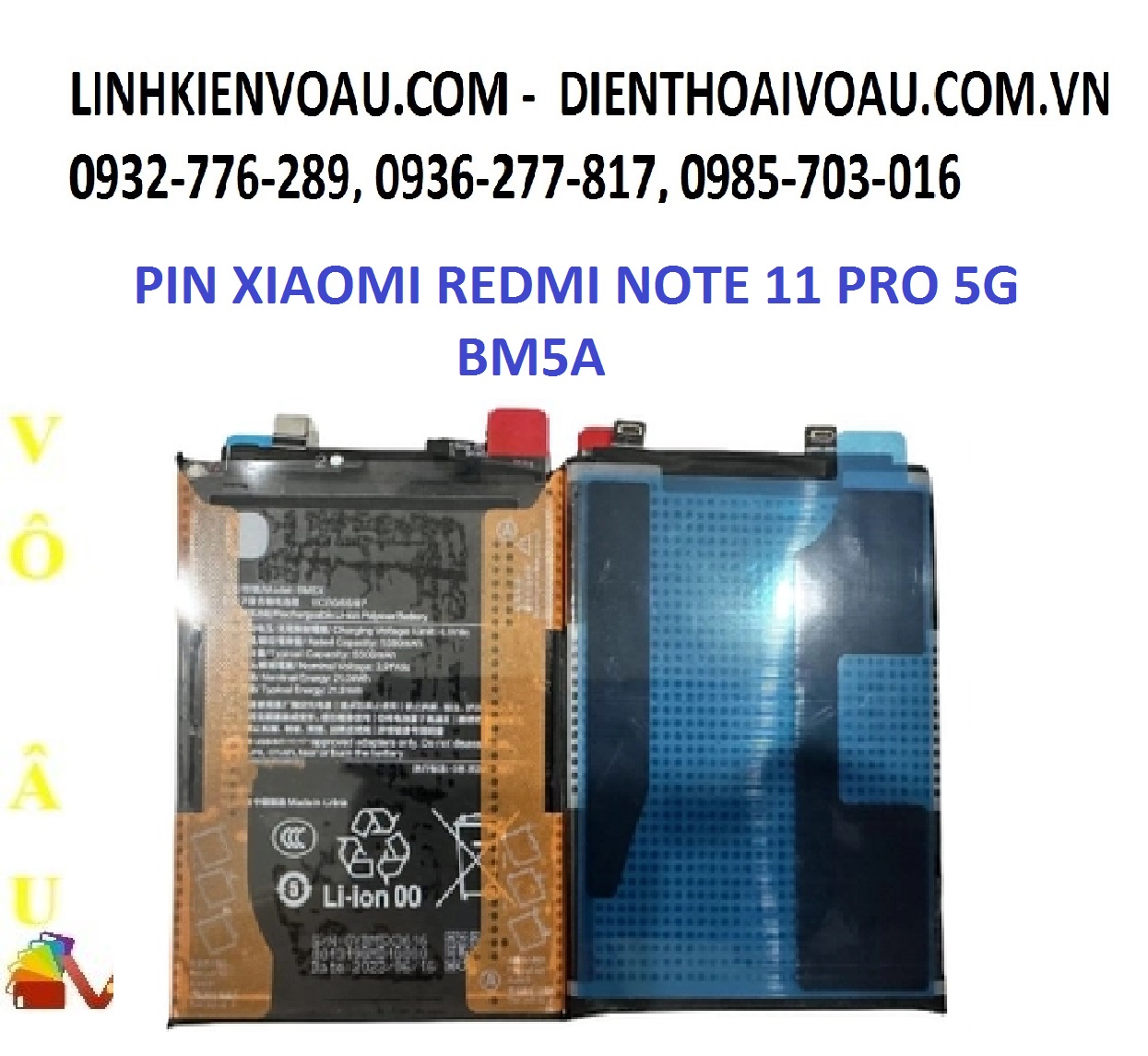 20260119_TnfmES32.jpg