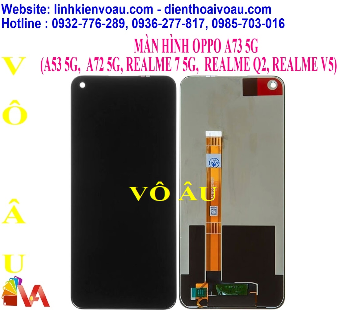 20260124_YTdgGXjQ.jpg