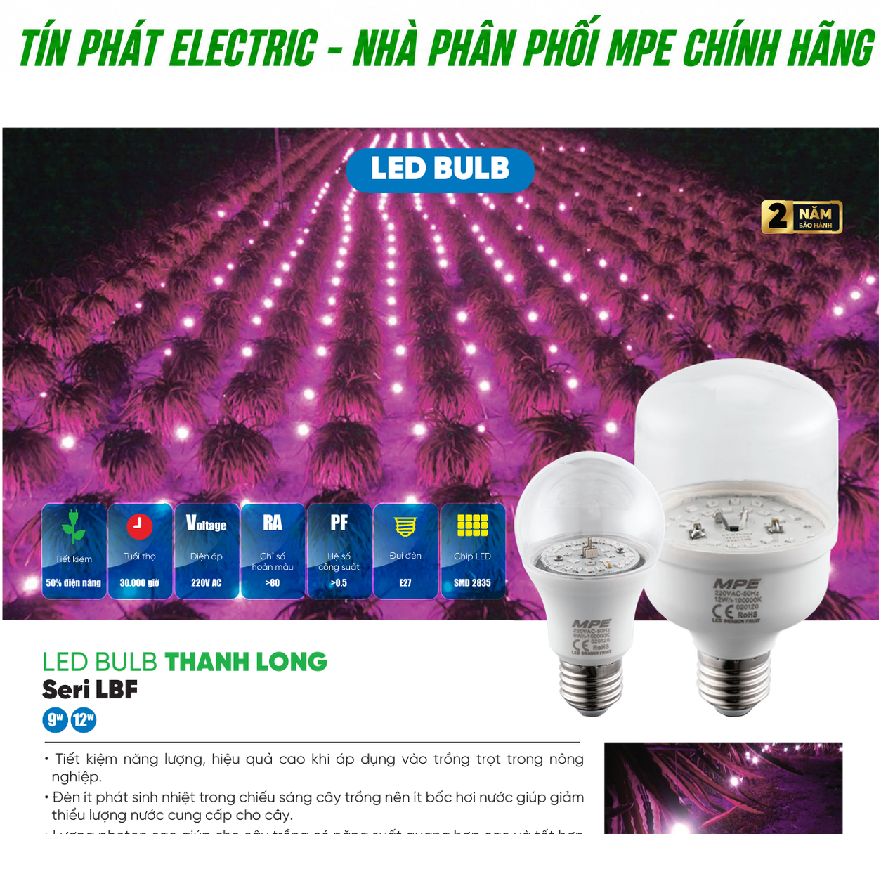 Đèn LED MPE Series LBF – Cách chọn led bulb phù hợp khi mua lẻ