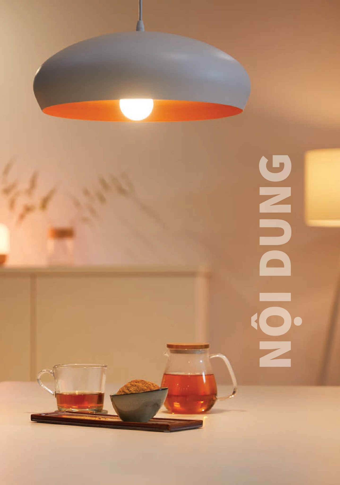 Bóng Đèn Led Philips - Catalogue 2023