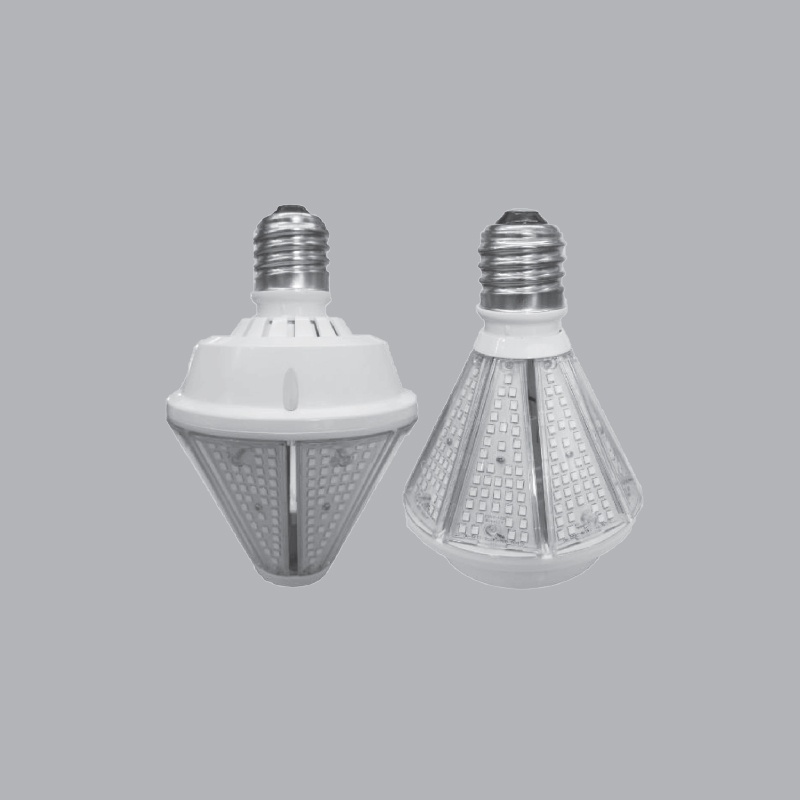 ĐÈN LED GARDEN LIGHT LGL2-30W