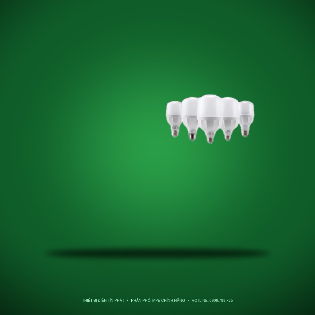 Bảng Giá LED Bulb MPE Series LBD2 12W – 50W