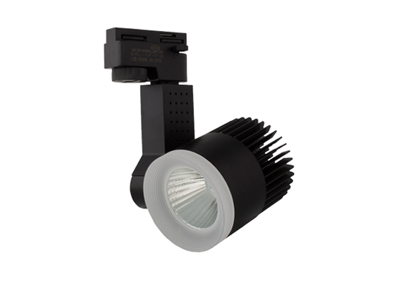 DTL-30 - ĐÈN RỌI RAY 30W VỎ ĐEN (DTL-30)