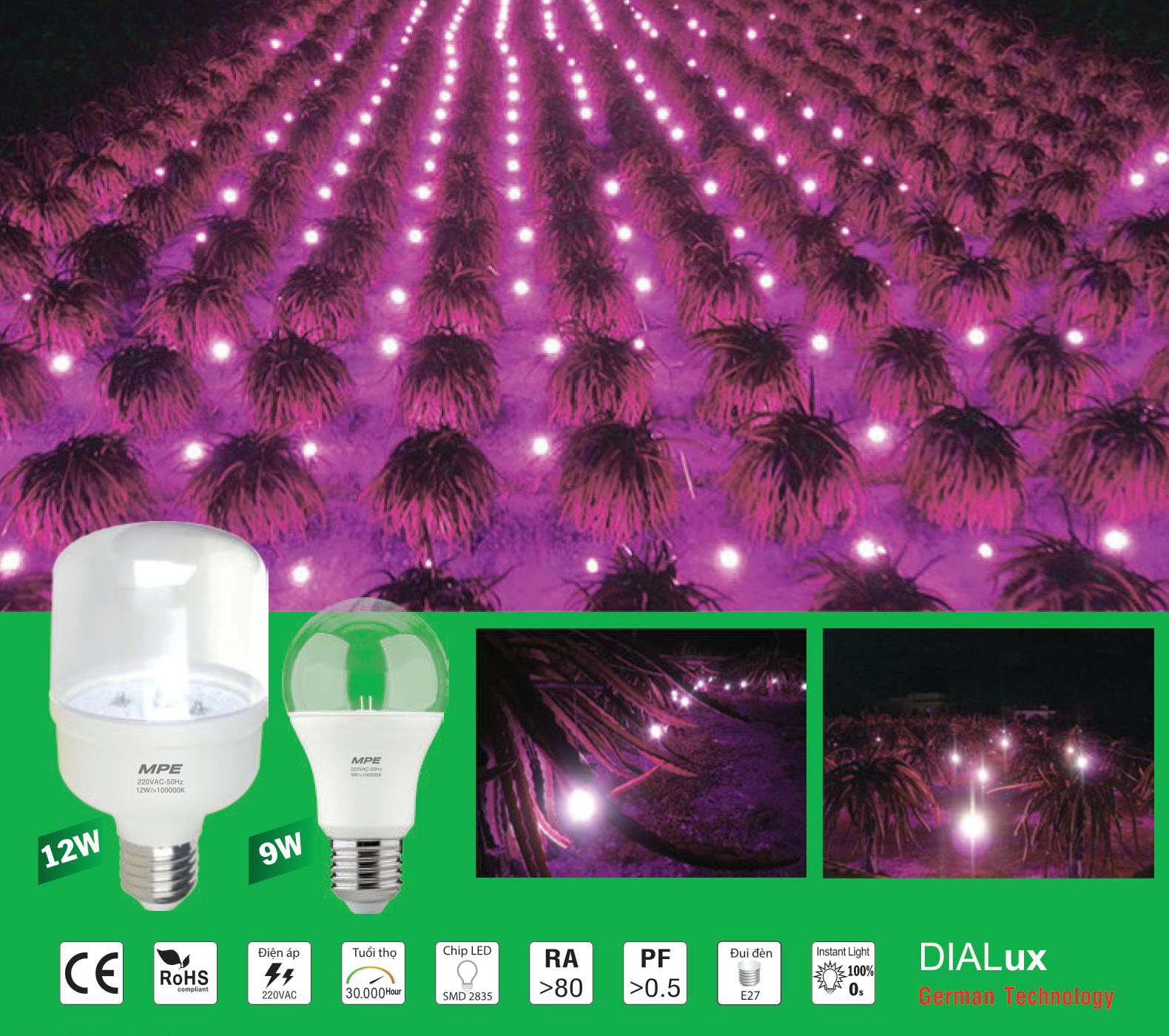 TP-12343 - Đèn LED Bulb Thanh Long MPE LBF ( 9W, 12W )