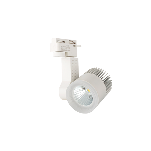 TP-4034 - ĐÈN RỌI RAY 12W TRẮNG (DTL-12)