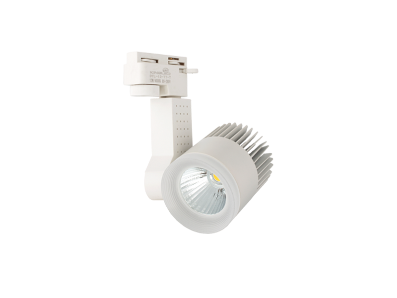TP-4124 - ĐÈN RỌI RAY 20W DTL-20 (VỎ TRẮNG)