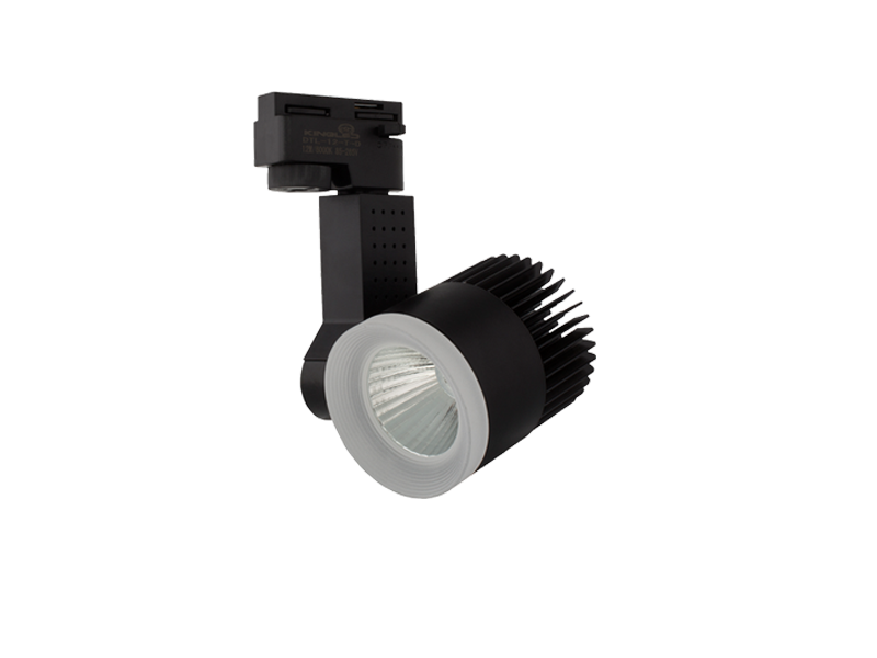 TP-4136 - ĐÈN RỌI RAY 20W VỎ ĐEN (DTL-20)