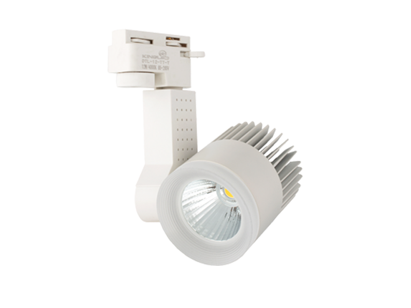 TP-4143 - ĐÈN RỌI RAY 30W DTL-30 (VỎ TRẮNG)