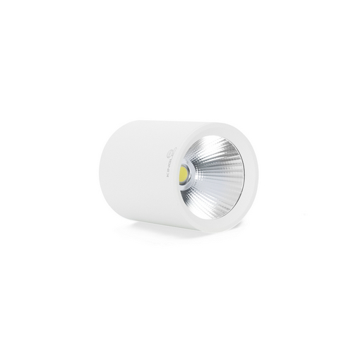 TP-4579 - ĐÈN ỐNG BƠ CHIẾU RỌI 18W (VỎ TRẮNG)