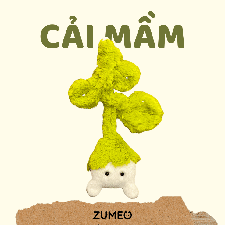 Cải Mầm