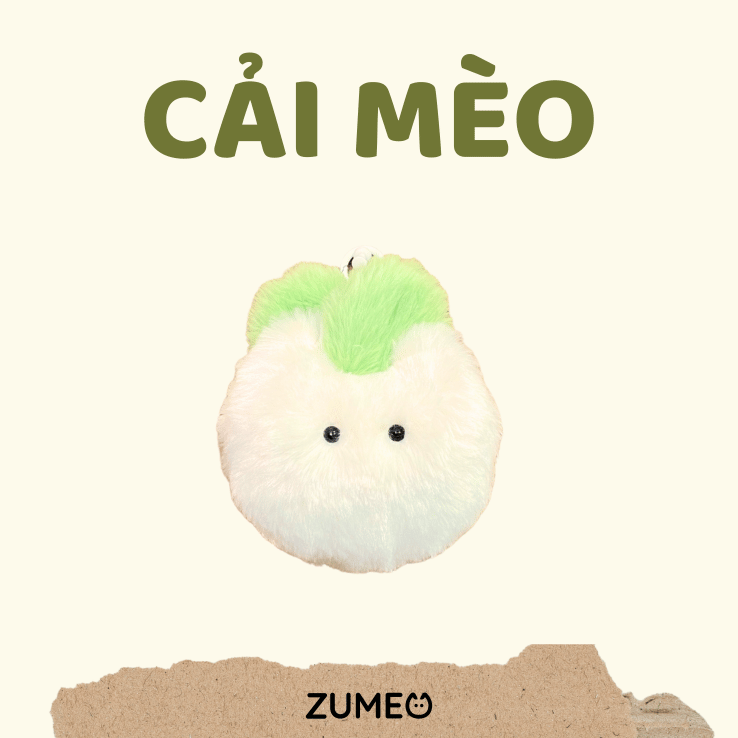 Cải Mèo
