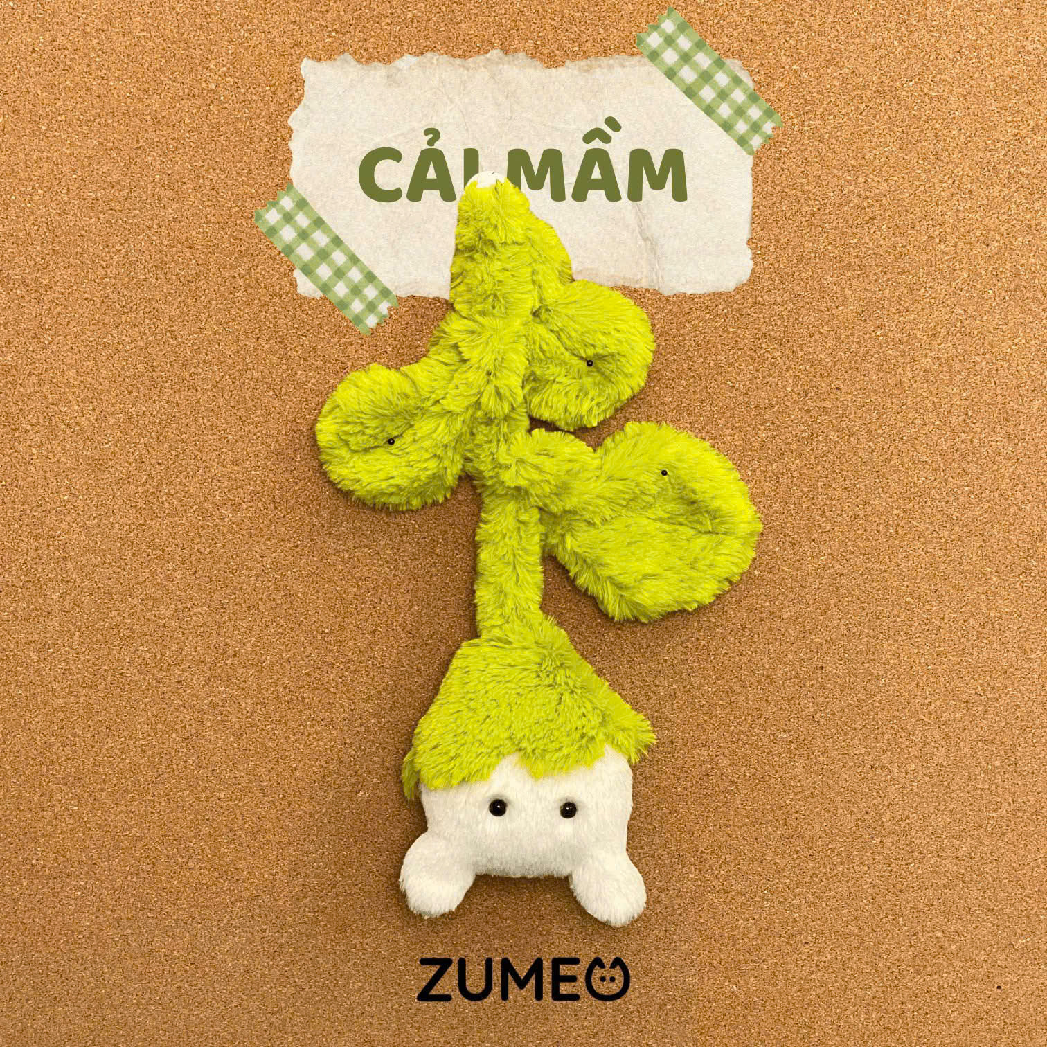 Cai-Mam_cải mầm.jpg