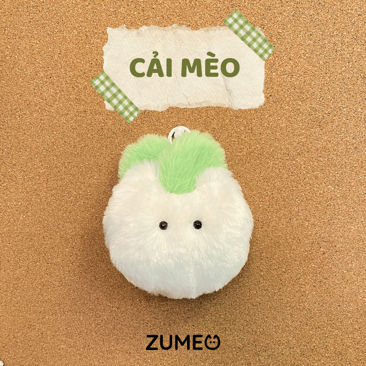 Cai-Meo_cải mèo.png