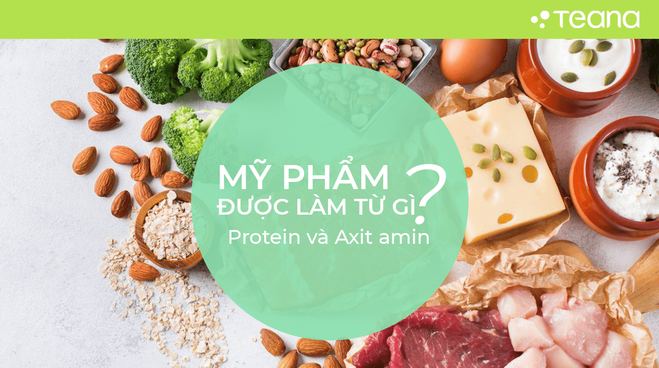 PROTEIN VÀ AXIT AMIN 