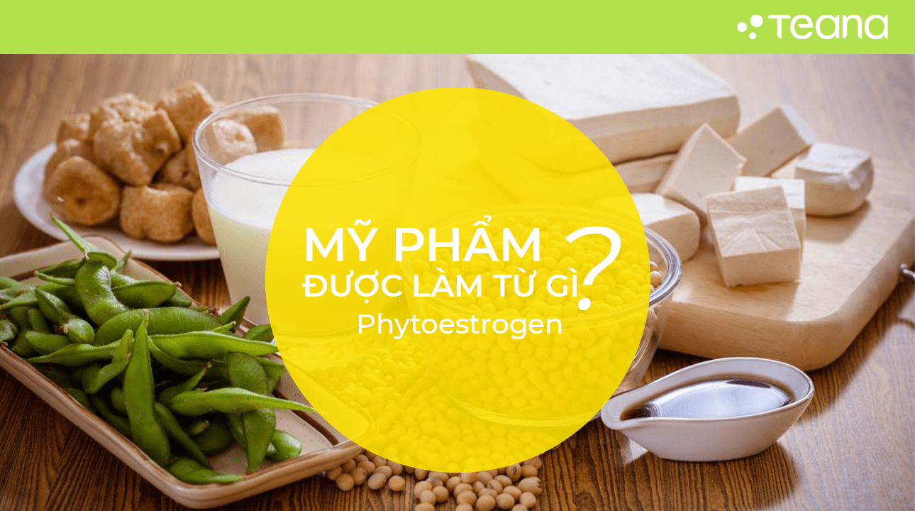 PHYTOESTROGEN 