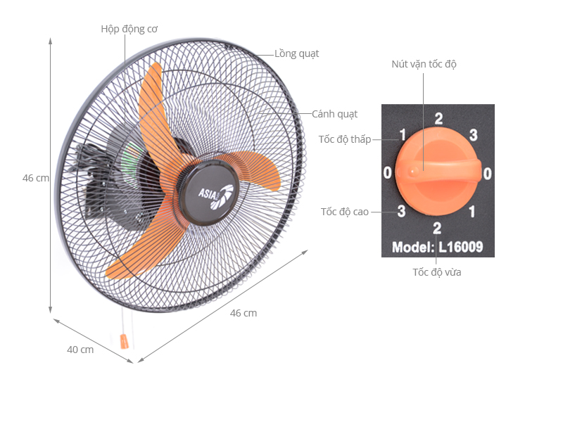 Quạt treo ASIAvina - L16009