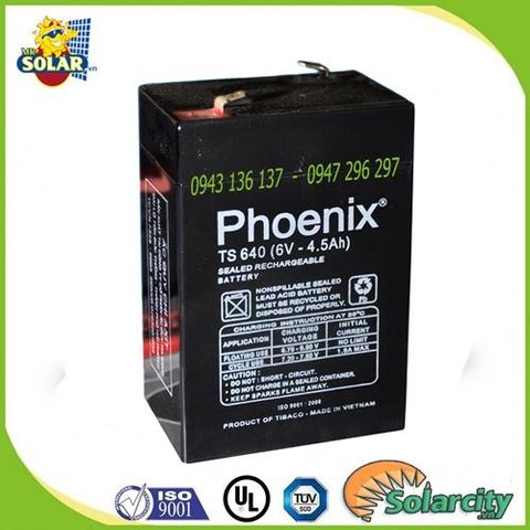 ẮC QUY PHOENIX 6V-4.5Ah (TS645) cho ô tô điện trẻ em