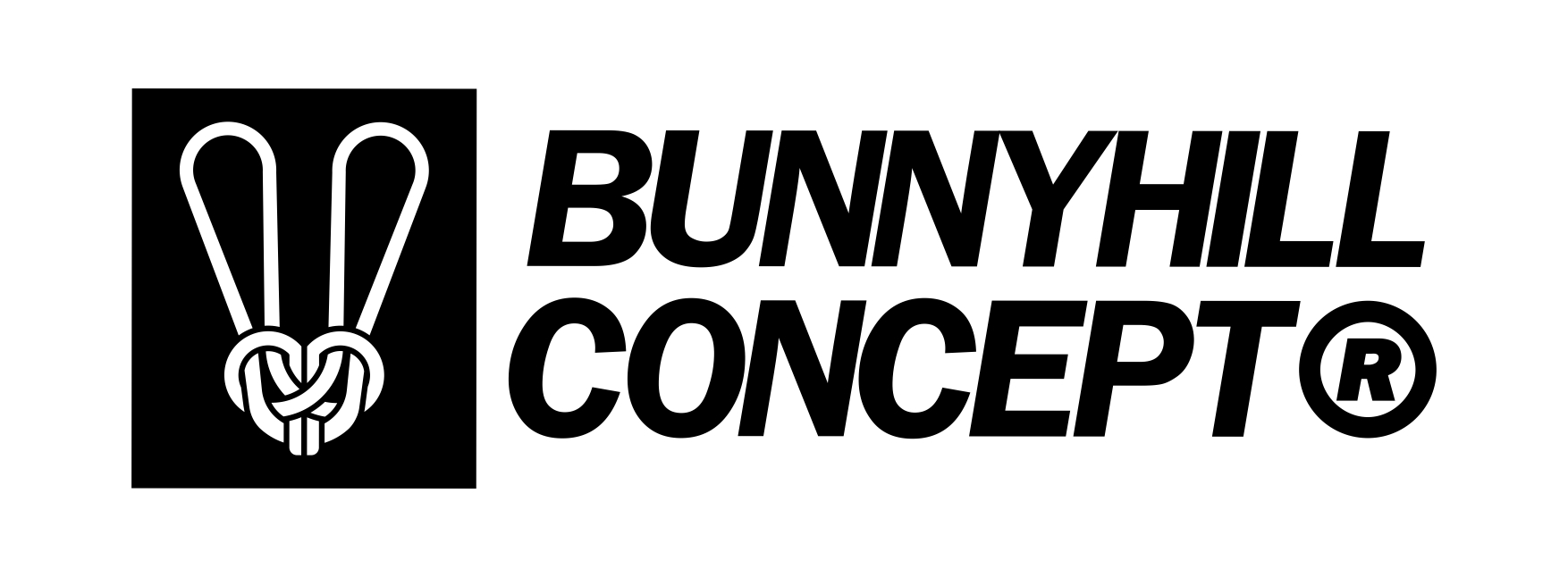 BunnyHillConcept