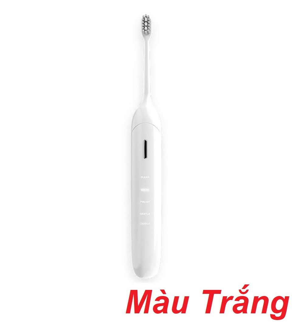 Mipow CI-200WT Bàn chải điện BOCALI toohbrush white ( CI-200WT ) G
