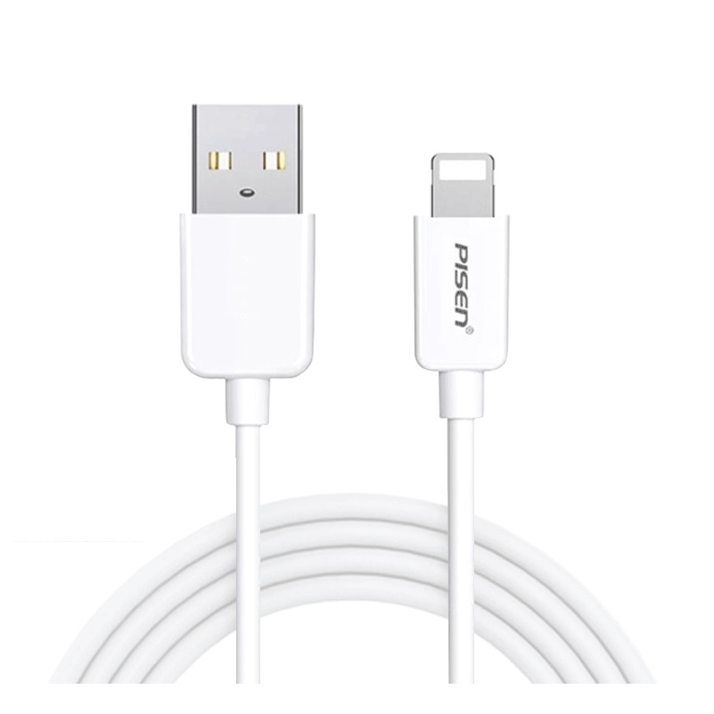 PISEN 10020 AL02 Cáp sạc Lightning USB 800 dài 80cm