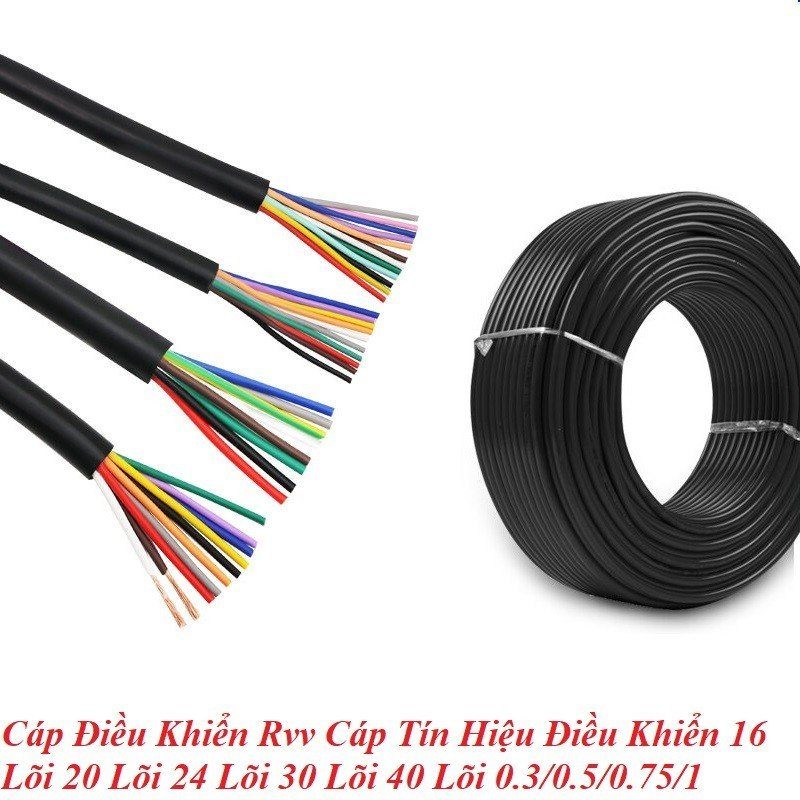 Oem 29441 Cáp Điều Khiển Rvv Cáp Tín Hiệu Điều Khiển 16 Lõi 20 Lõi 24 Lõi 30 Lõi 40 Lõi 0.3/0.5/0.75/1 Mét Vuông