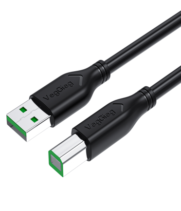 Veggieg 29378 Cáp dữ liệu USB kết nối máy in 10mVegGieg V-U208