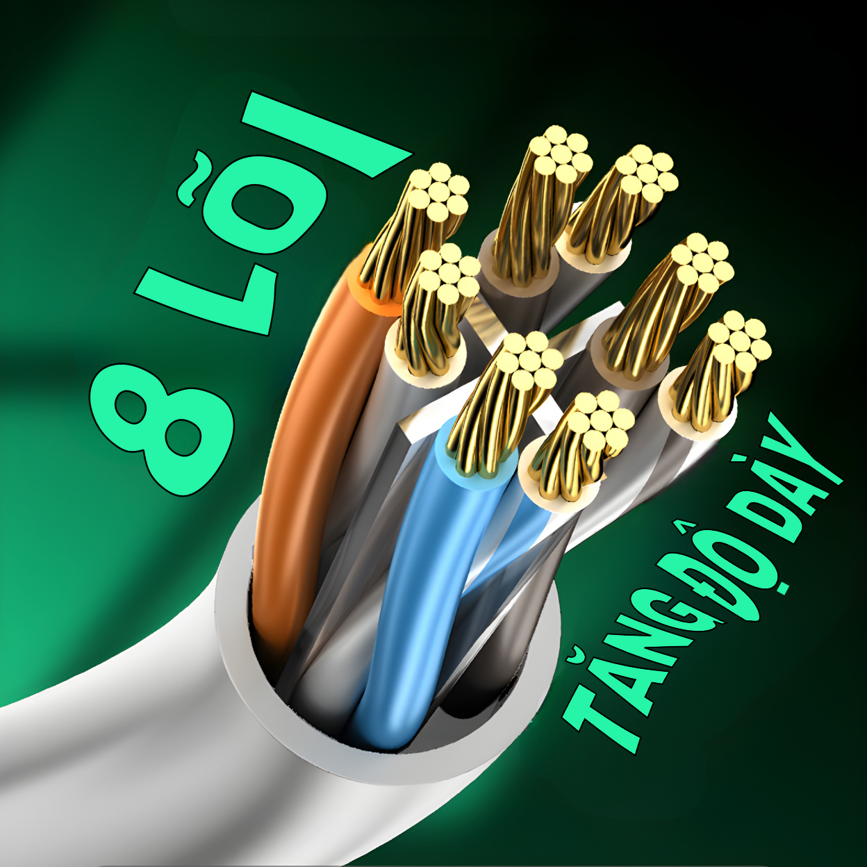 Veggieg 27377 Cáp dữ liệu mạng cat6 bấm sẵn 2 đầu 1.5m VegGieg V-E625
