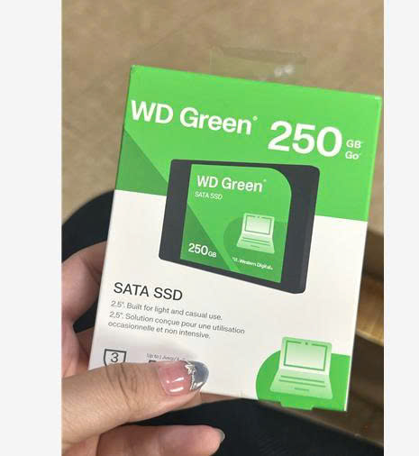 WD 29633 WDS250G5G0A-00CPT0, 250GB