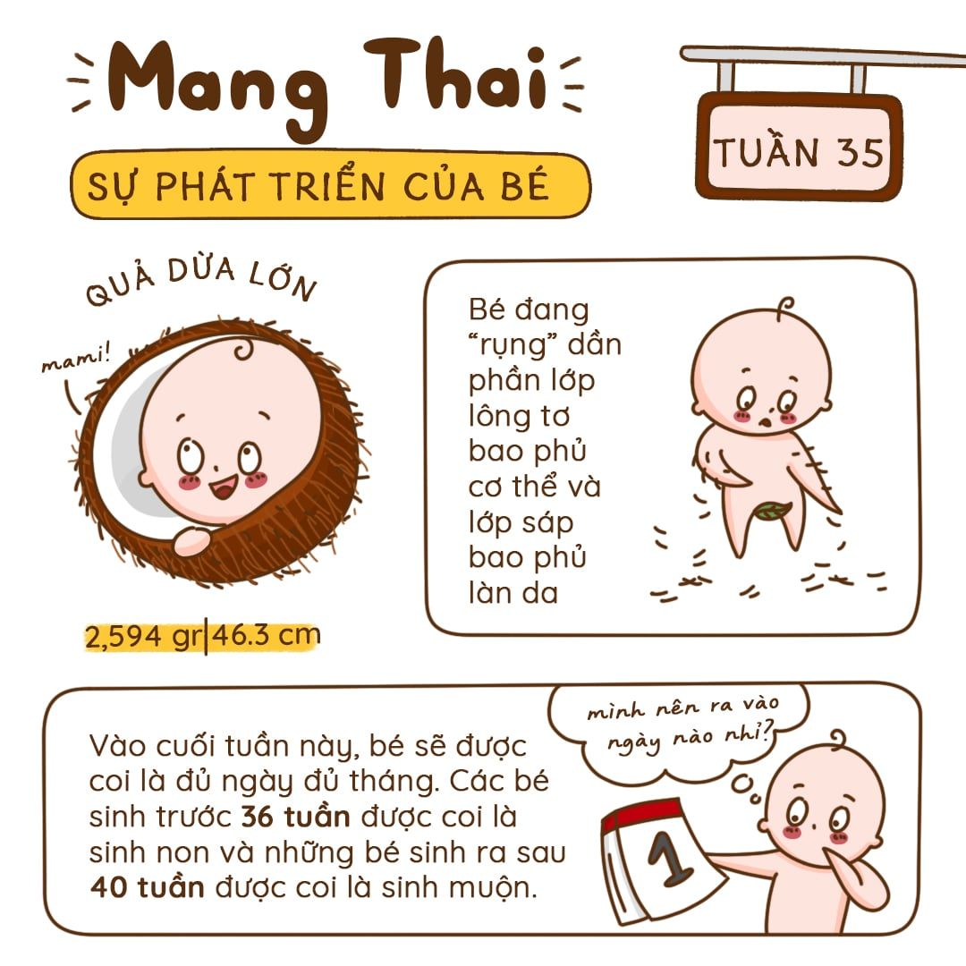 Kiến Thức Mang Thai Tuần 35