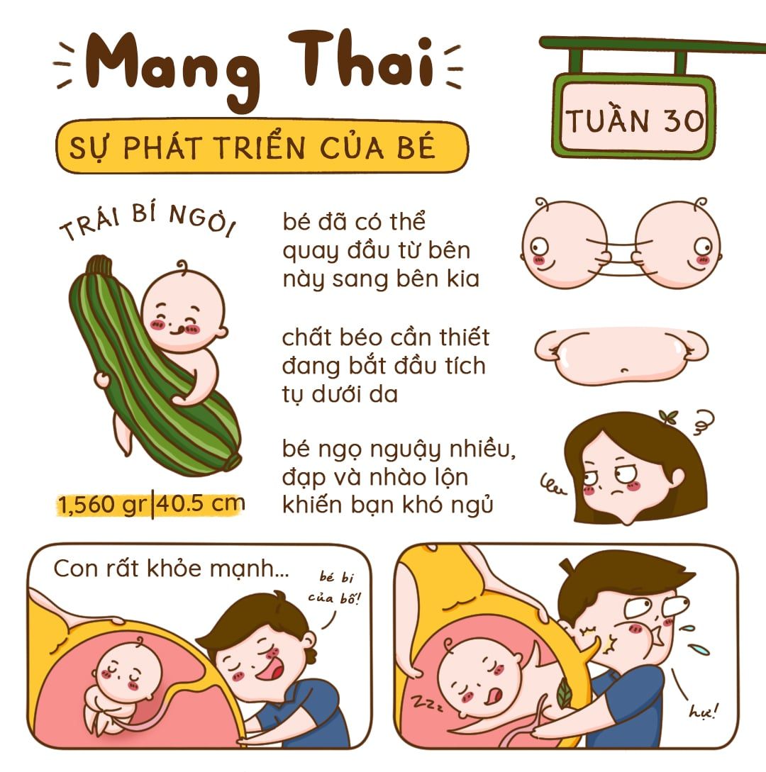 Kiến Thức Mang Thai Tuần 30