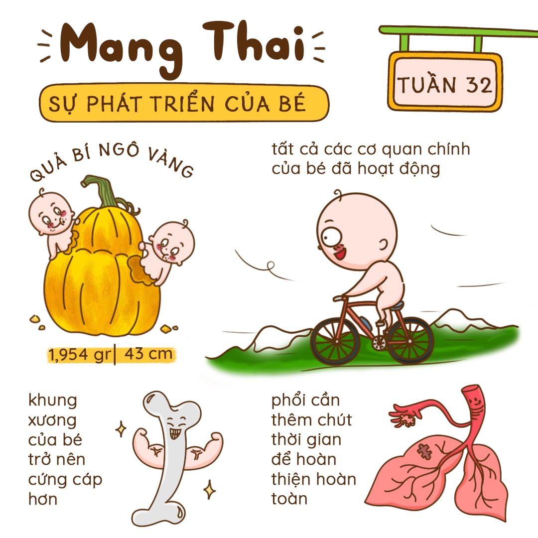 Kiến Thức Mang Thai Tuần 32