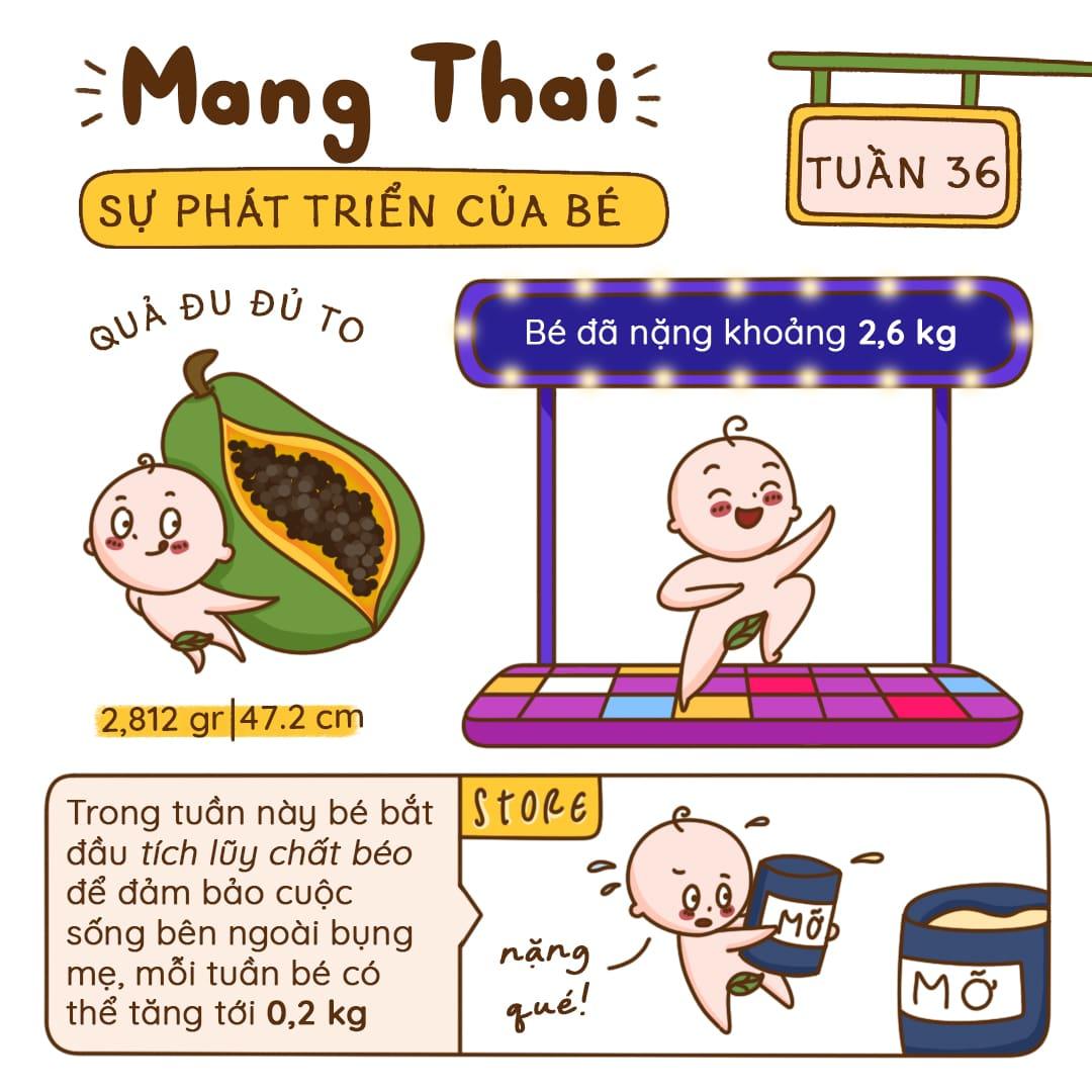 Kiến Thức Mang Thai Tuần 36