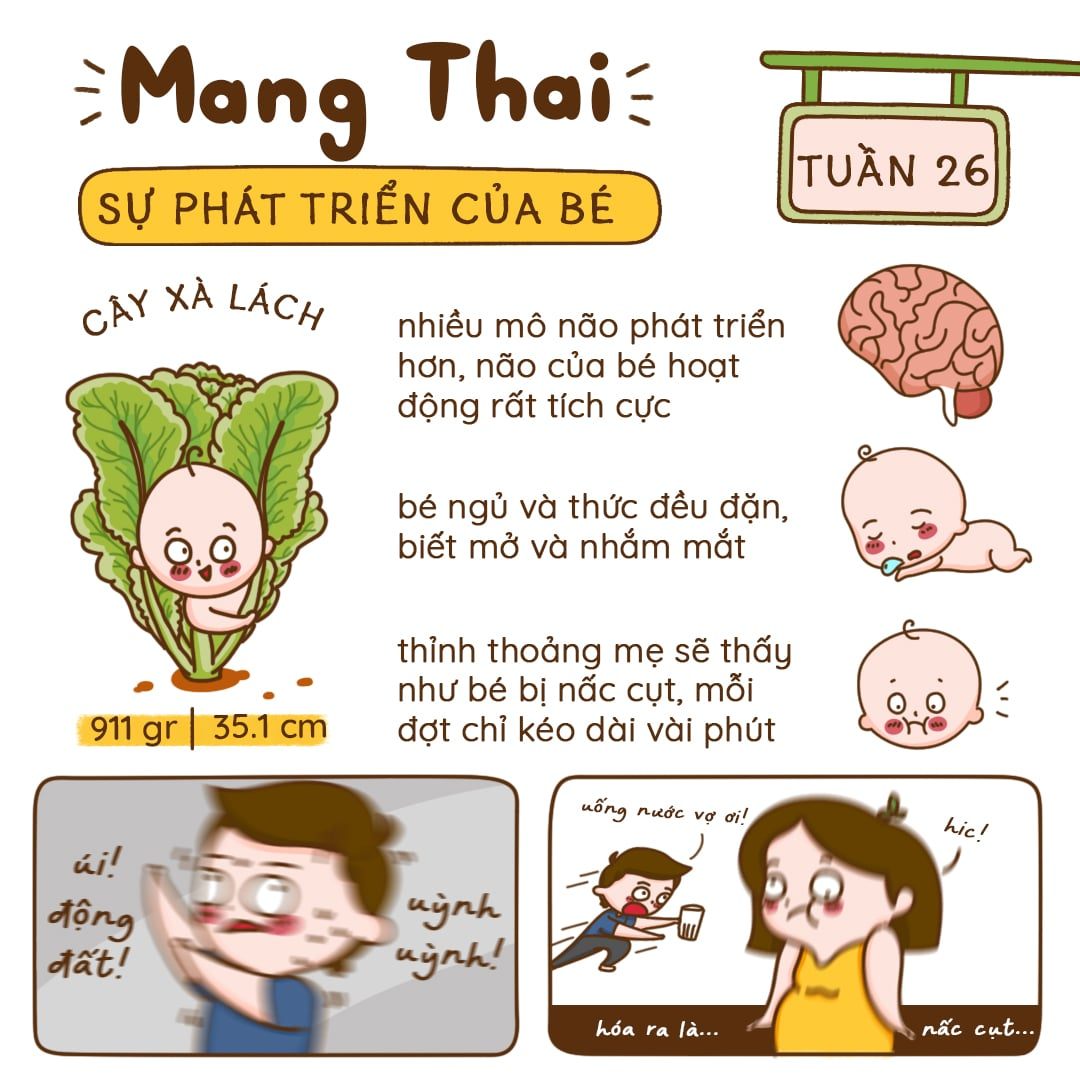 Kiến Thức Mang Thai Tuần 26