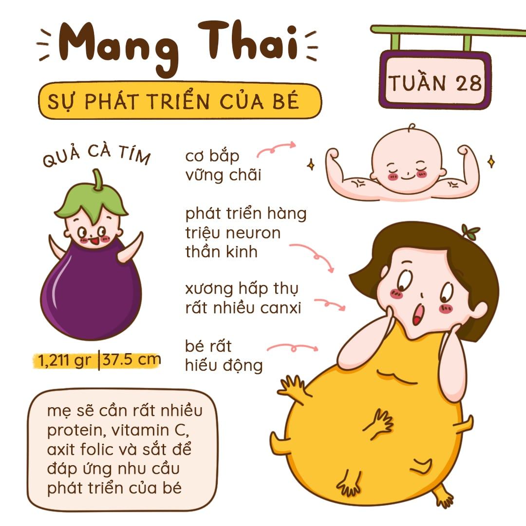 Kiến Thức Mang Thai Tuần 28