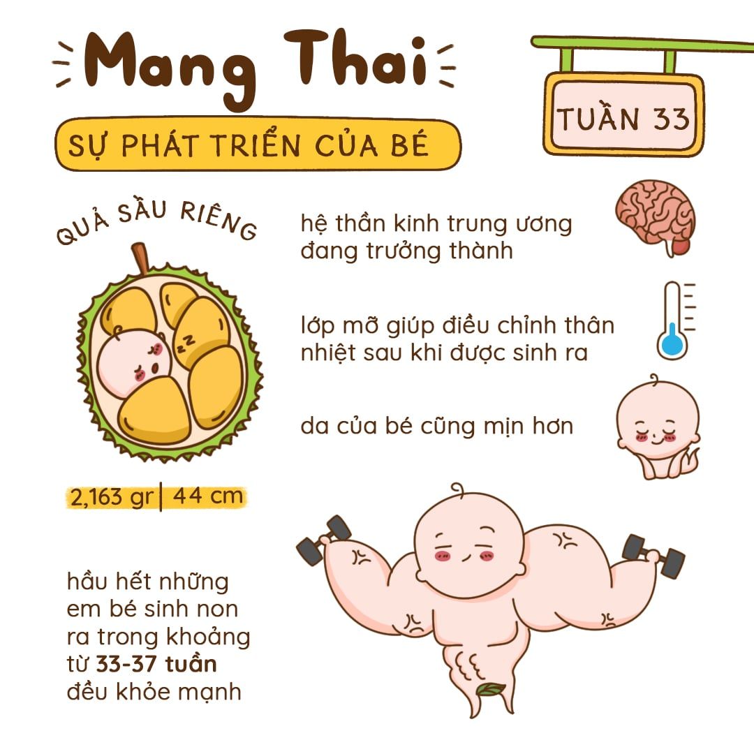 Kiến Thức Mang Thai Tuần 33