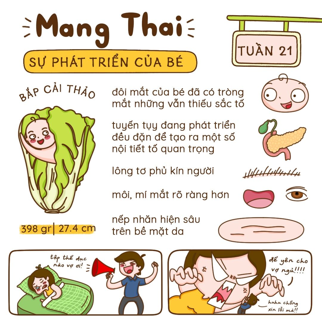 Kiến Thức Mang Thai Tuần 21