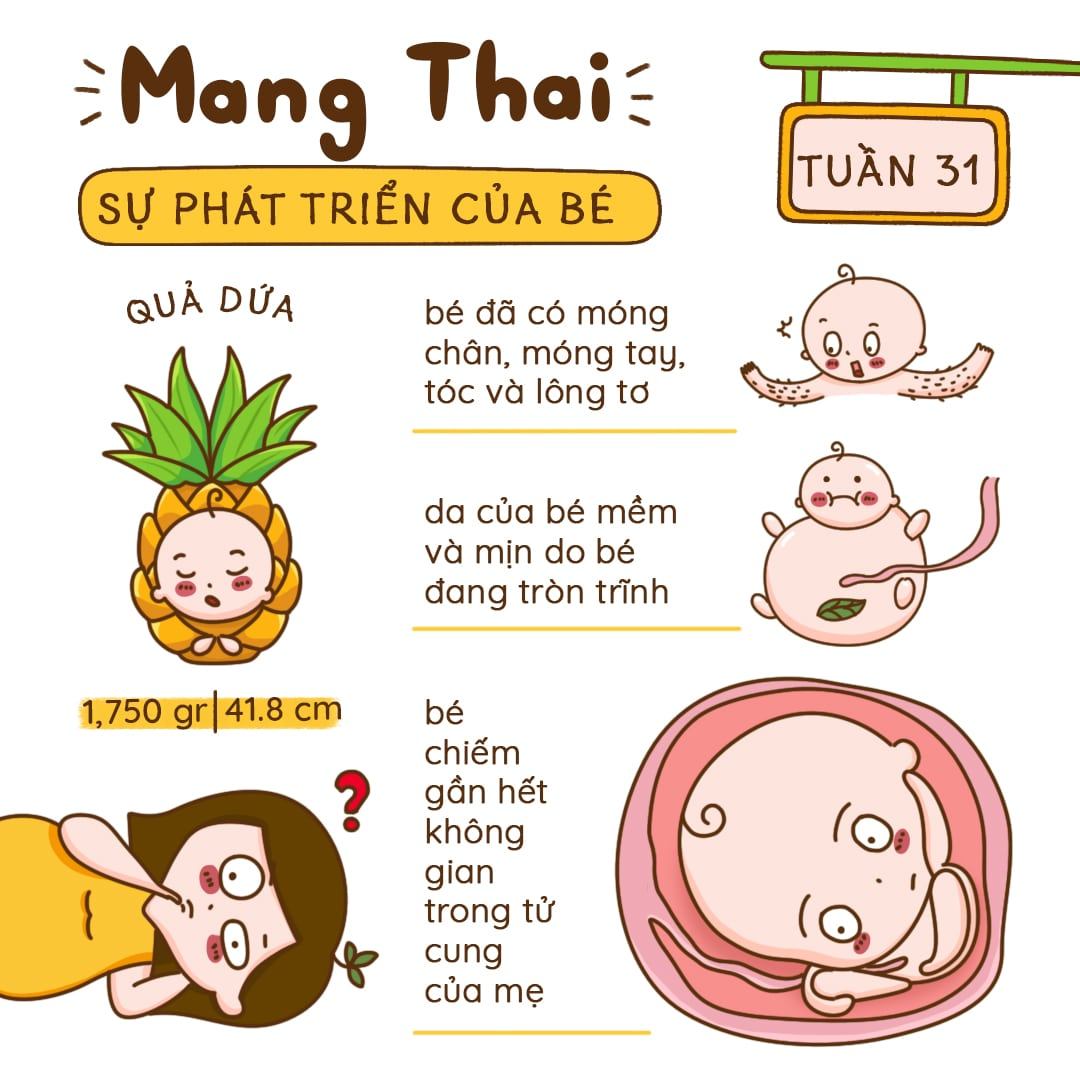 Kiến Thức Mang Thai Tuần 31