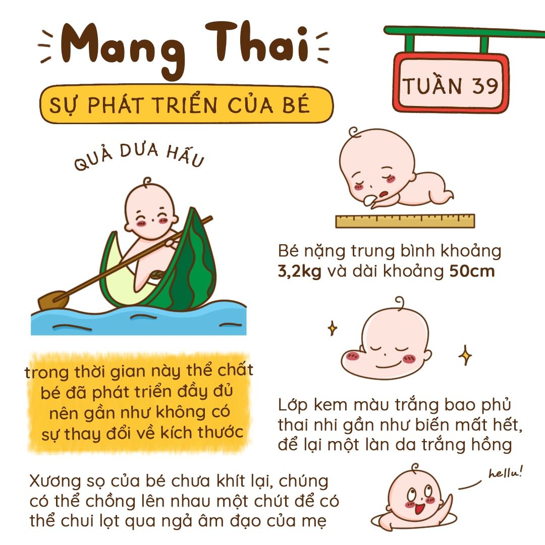 Kiến Thức Mang Thai Tuần 39