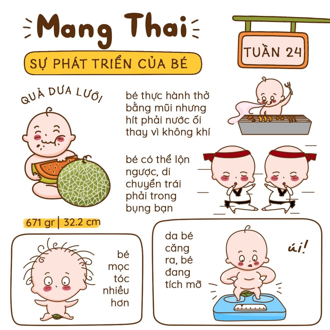 Kiến Thức Mang Thai Tuần 24