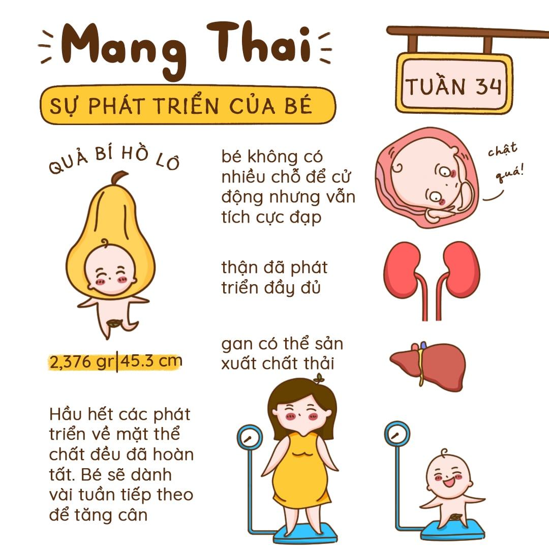 Kiến Thức Mang Thai Tuần 34